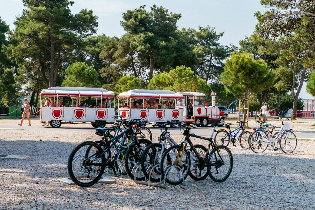 Salve Croatia Mobile Homes In Zaton Holiday Resort Ngoại thất bức ảnh